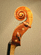 violino Andrea Guarneri
